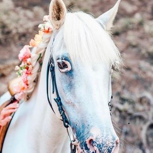 Meet your Posher, Kathe